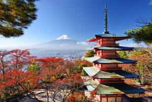 Japon, Le meilleur du Japon